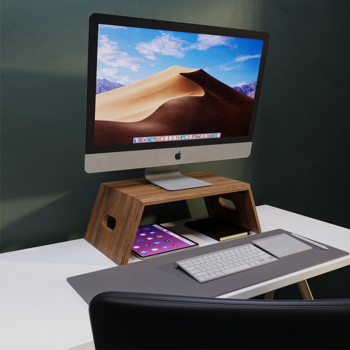 Monitor Stand and Desk Organizer